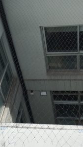 Colocación de red antipájaros